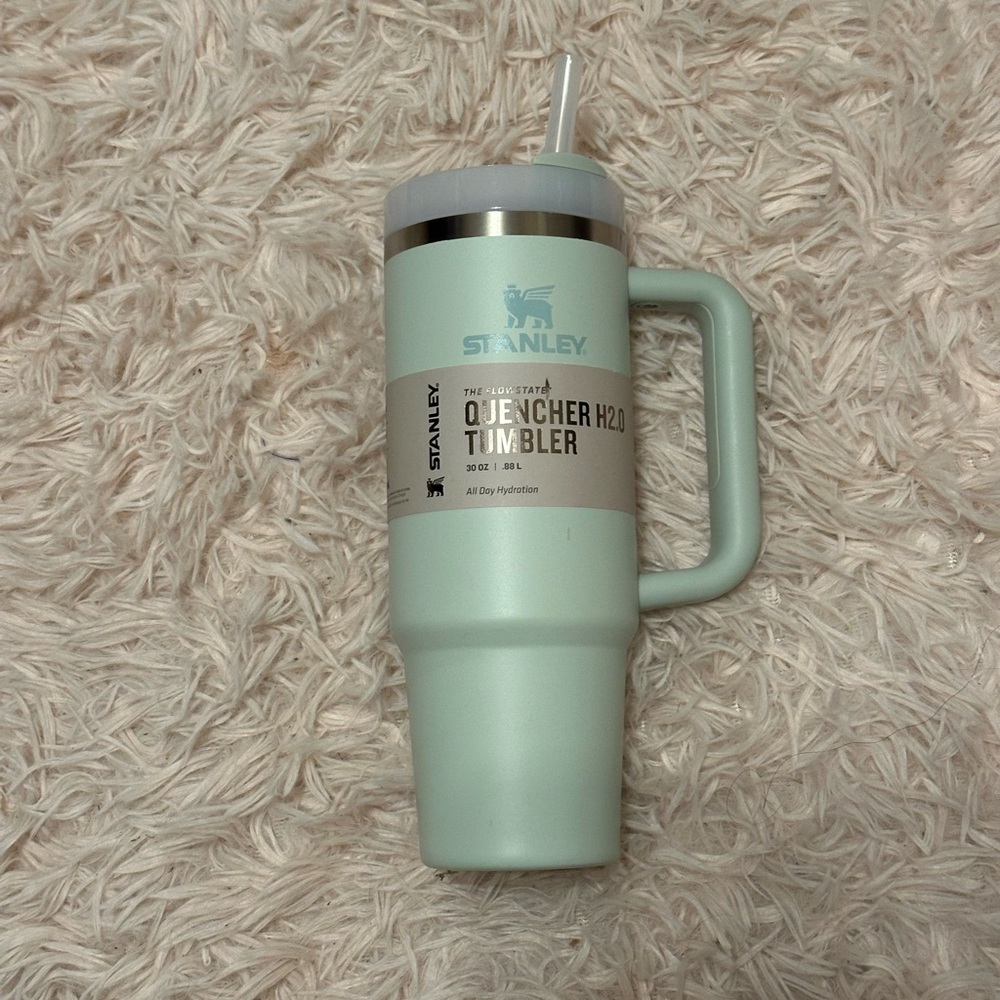 BNWT Stanley Quencher H2.0 Tumbler - Mint Green